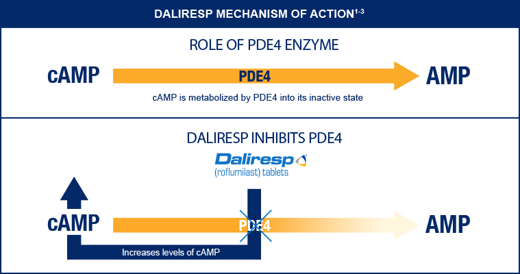 DALIRESP Mechanism of action